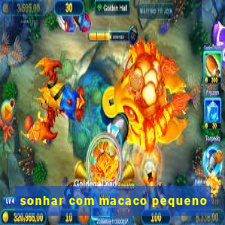 sonhar com macaco pequeno